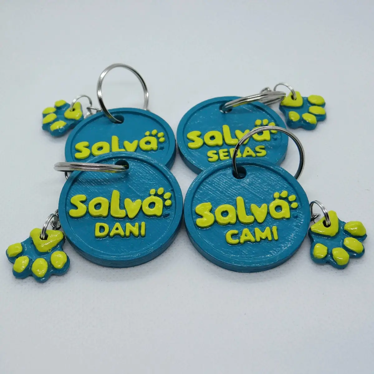 Llaveros de veterinaria personalizados con colores de marca